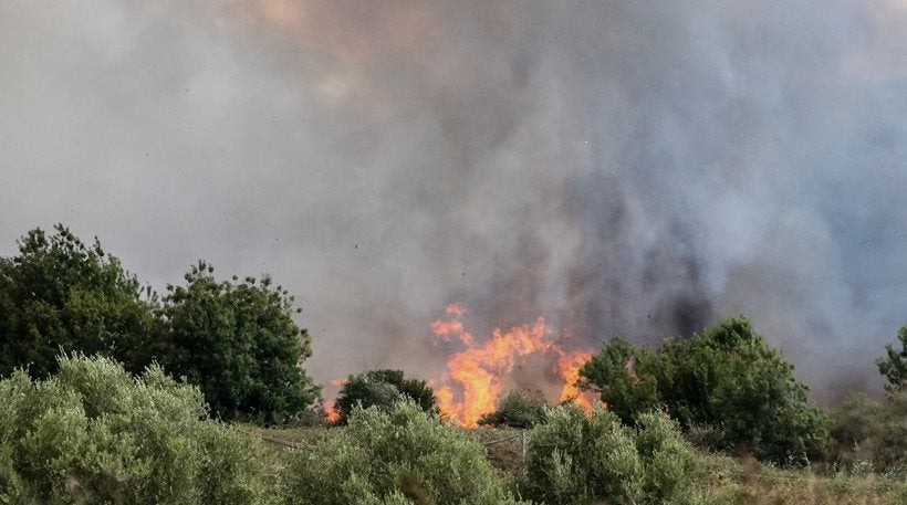 Φωτιά κοντά στο πεδίο βολής στην Αριδαία Πέλλας